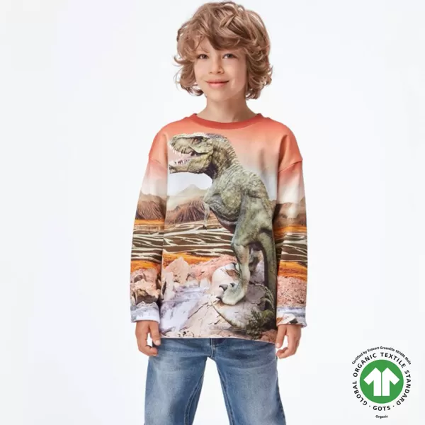 New Molo Kids Dino Landscape Mountoo Sweatshirt