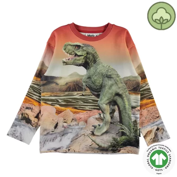 New Molo Kids Dino Landscape Mountoo Sweatshirt