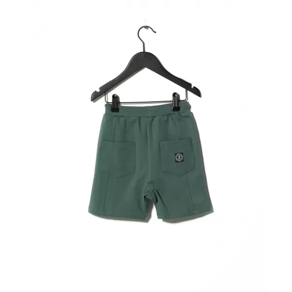 Best Sometime Soon Alvin Shorts Green